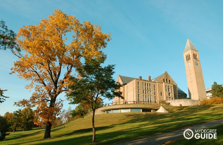 Accreditation for an Online PhD Psychology