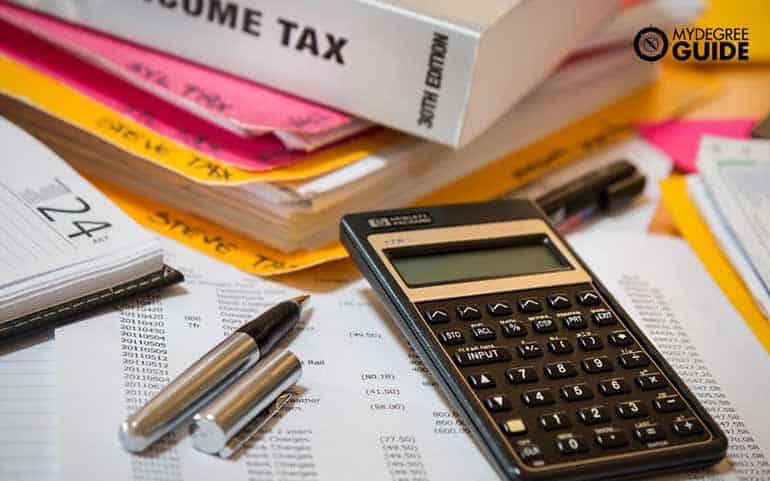 accountants compare tax information