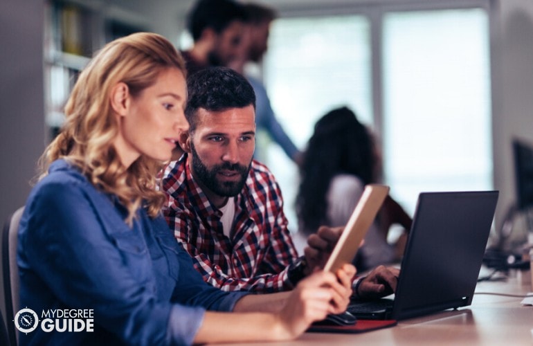 computer programmers working in the office 