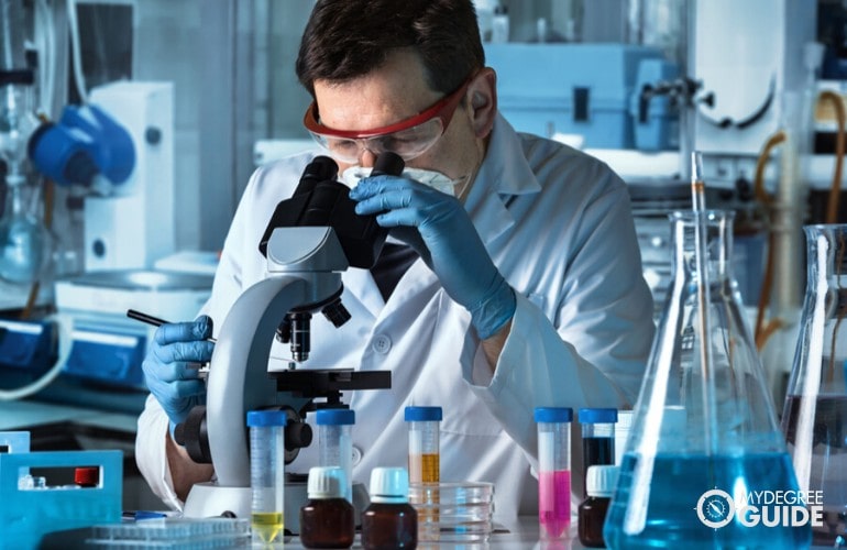 microbiologist working in the laboratory