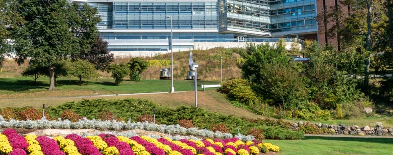 Brandeis University campus