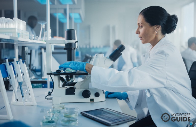 Natural Sciences Manager working in the lab