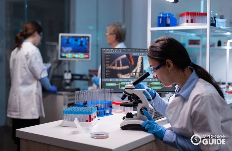 People working in the Chemistry lab