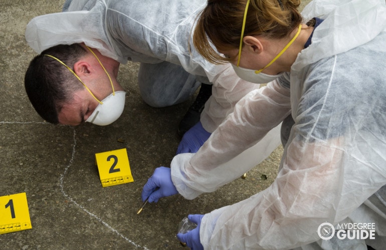 CSI Degree careers