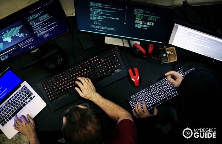 computer programmers working in the office