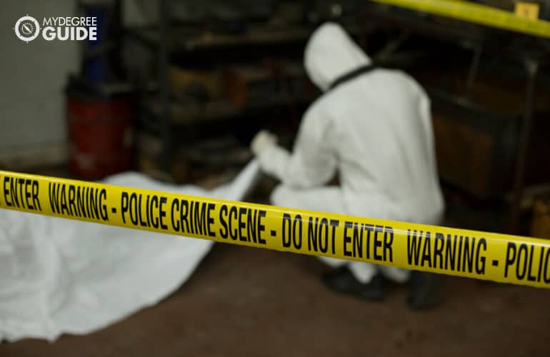 forensic scientist examining the crime scene
