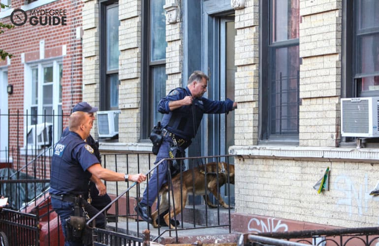 policemen looking for a criminal in an apartment