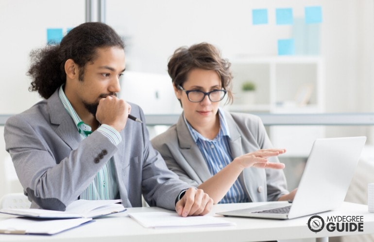 Management Analysts working on a laptop