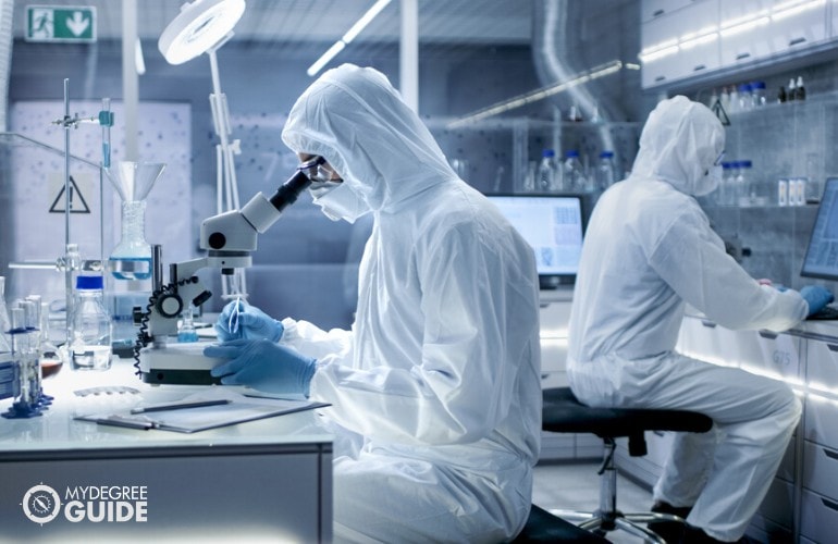 biologists working in the laboratory