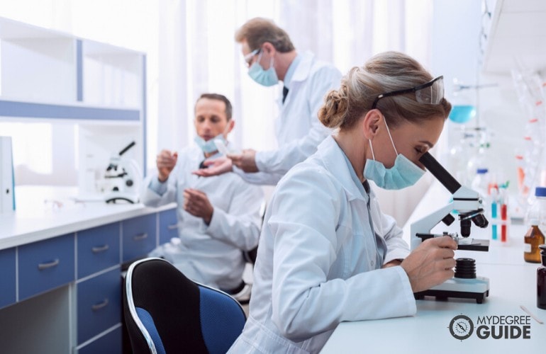 Senior Researchers working in laboratory