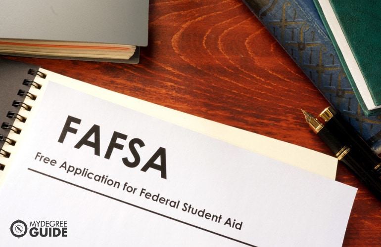 a screenshot of the FAFSA site