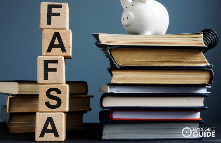 screenshot of FAFSA website