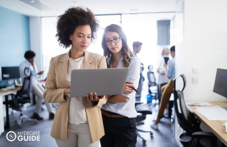 Network and Computer Systems Administrators working in the office