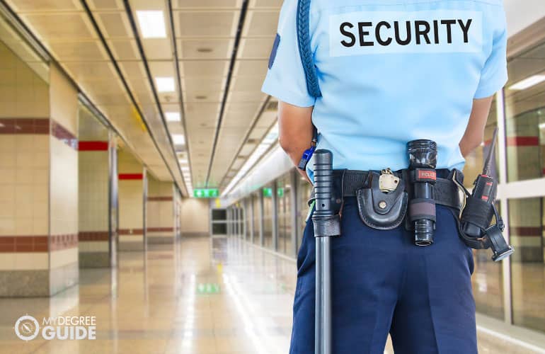 Homeland Security officer standing on his post