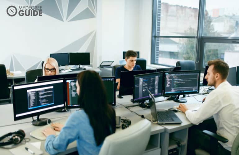 web developers working in an office
