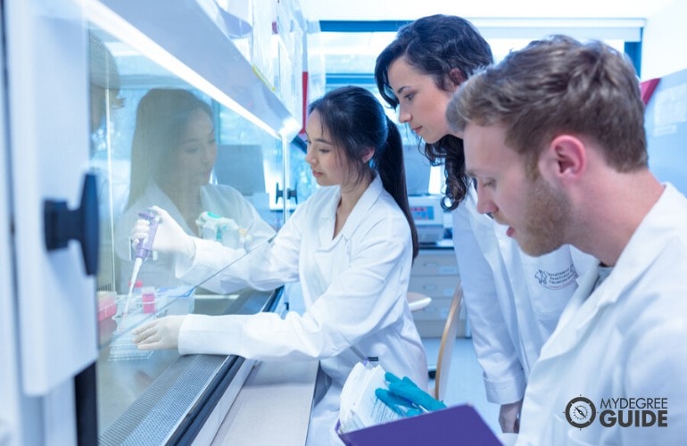 public health students working in a laboratory