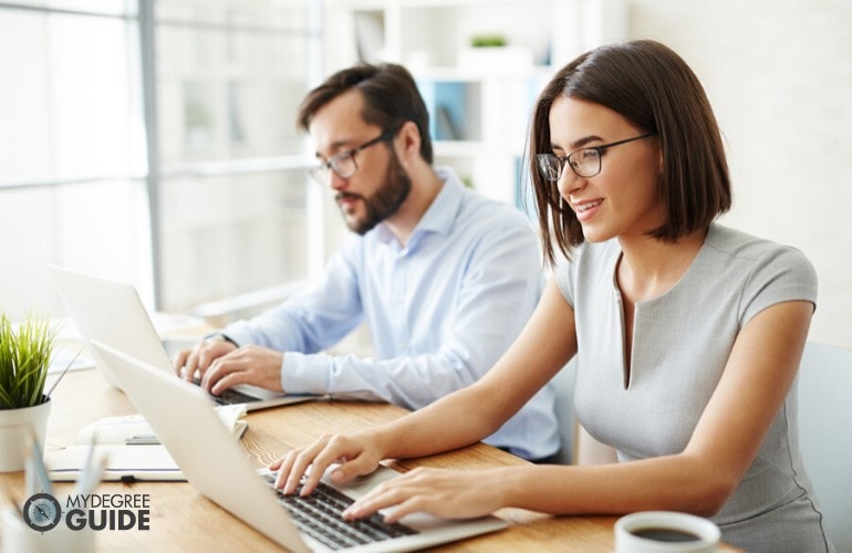 accountants working together in the office