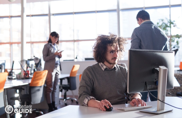 Information Systems Managers working in an office