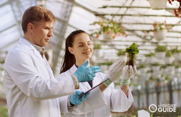 Agricultural and Food Scientists working together