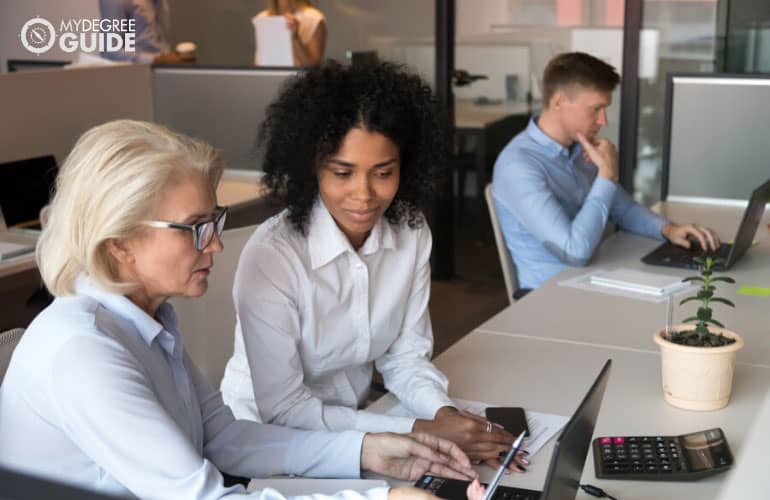 accountants working in the office