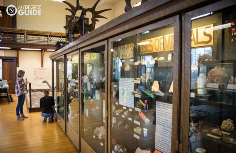 archivists working in a museum