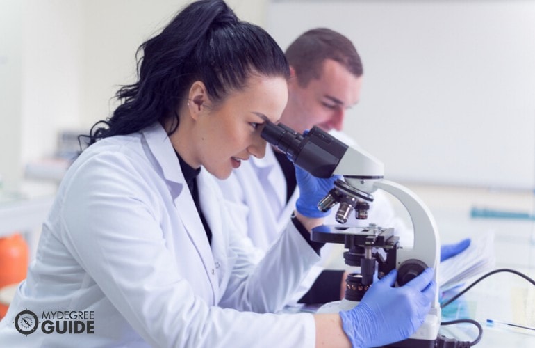 Medical Lab Technicians working in the laboratory