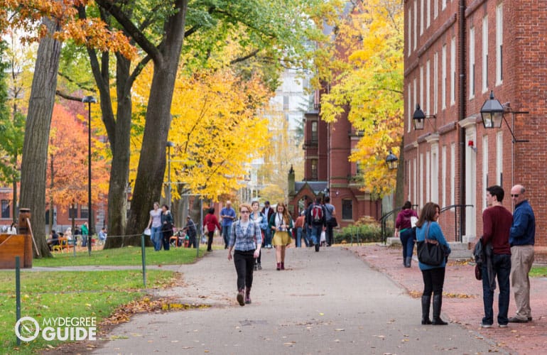 bachelor's degree students walking across university campus