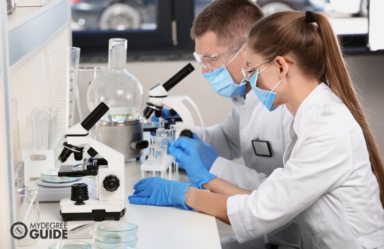 Students of MS in Biology working in the lab