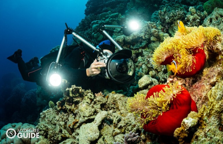 marine biologist taking pictures of marine life