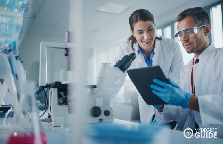 Scientists working in the Physics Labs