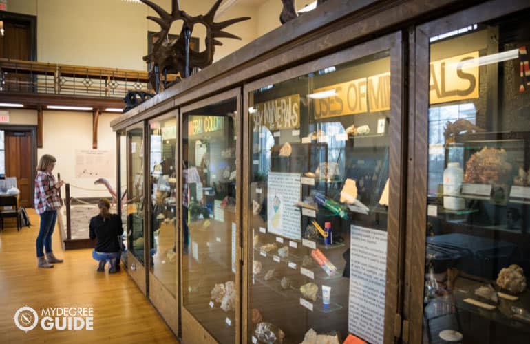 museum curators arranging the displays