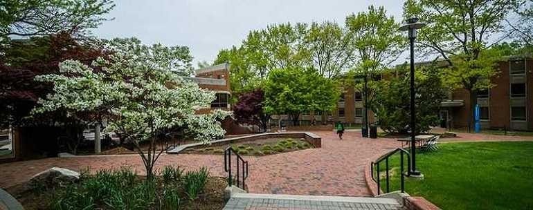 Towson University campus