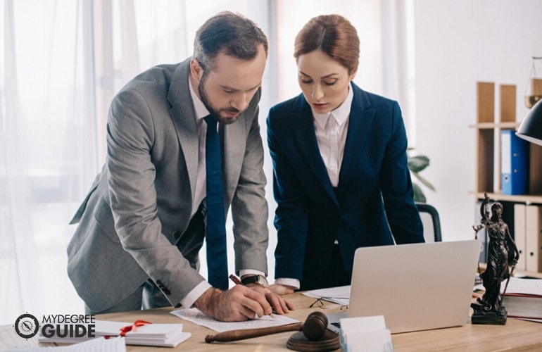 lawyers working in the office